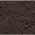 Screened Top Soil
