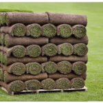 PREMIUM CULTIVATED TURF