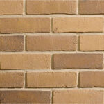 Olde English Buff Multi