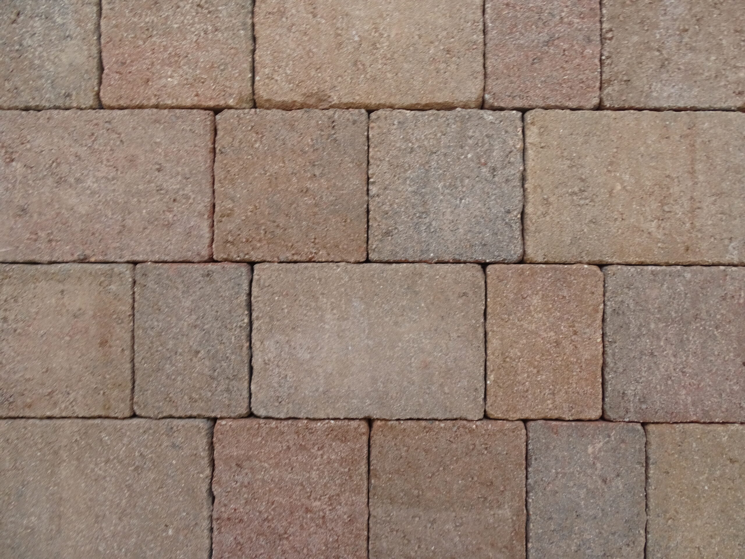 Aged-Autumn-Mix-scaled